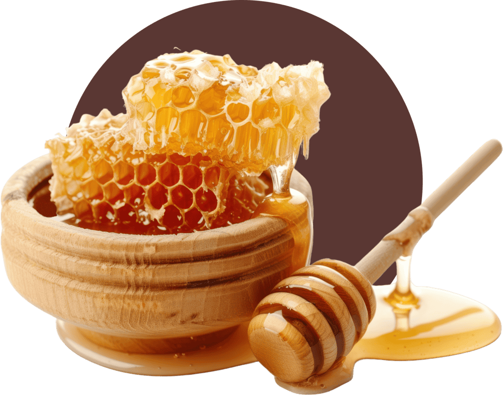 png-honey-honeycomb-food-white-background-min (2)